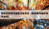 搬家的時候馬桶能不能帶走（搬家搬馬桶影響風(fēng)水嗎）